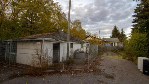 November 2022 - IMG_3336.JPG