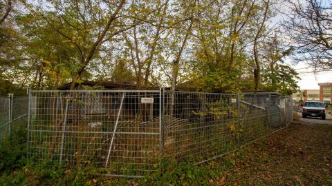 November 2022 - IMG_3337.JPG