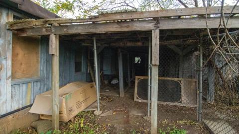 November 2022 - IMG_3338.JPG