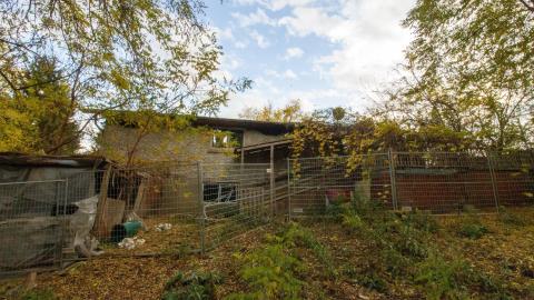 November 2022 - IMG_3341.JPG