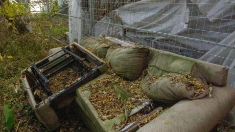 November 2022 - IMG_3345.JPG