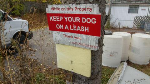 November 2022 - IMG_3347.JPG