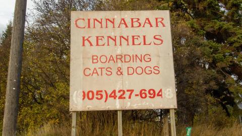 November 2022 - IMG_3348.JPG