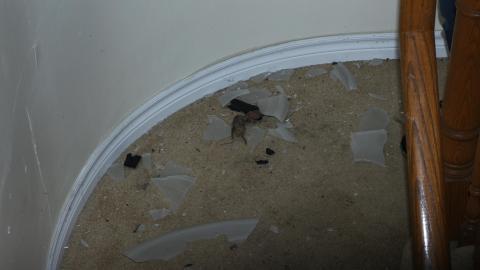 Bland, Boring, But Better Than Nothing - IMG_7446.JPG