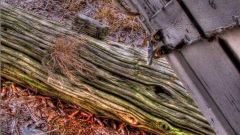 Couple 100 Yards North - McCurdys-School48.jpg