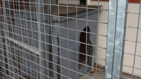 Waxman's Attempt. photo 2