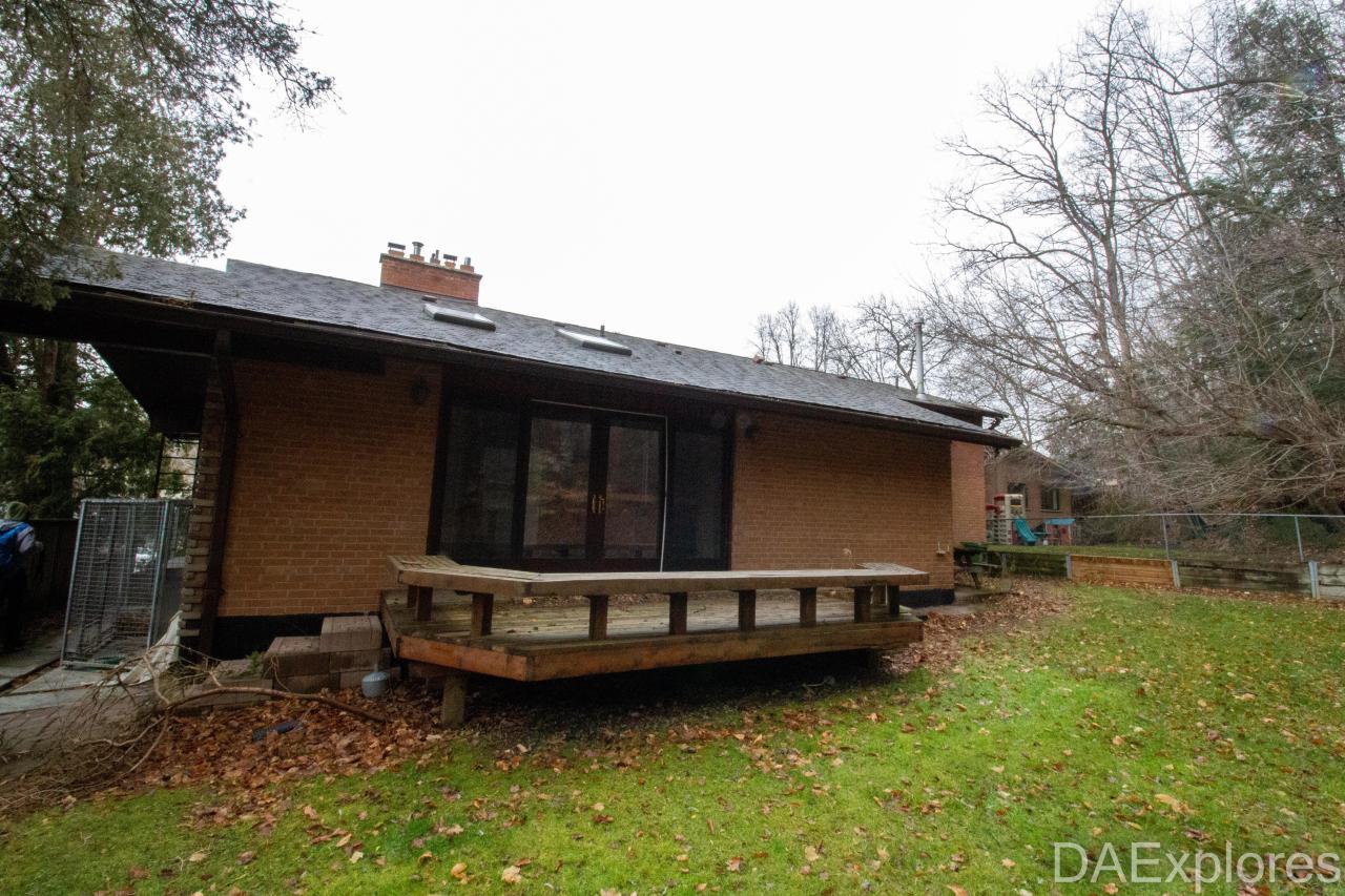 Corvette - IMG_3485.JPG