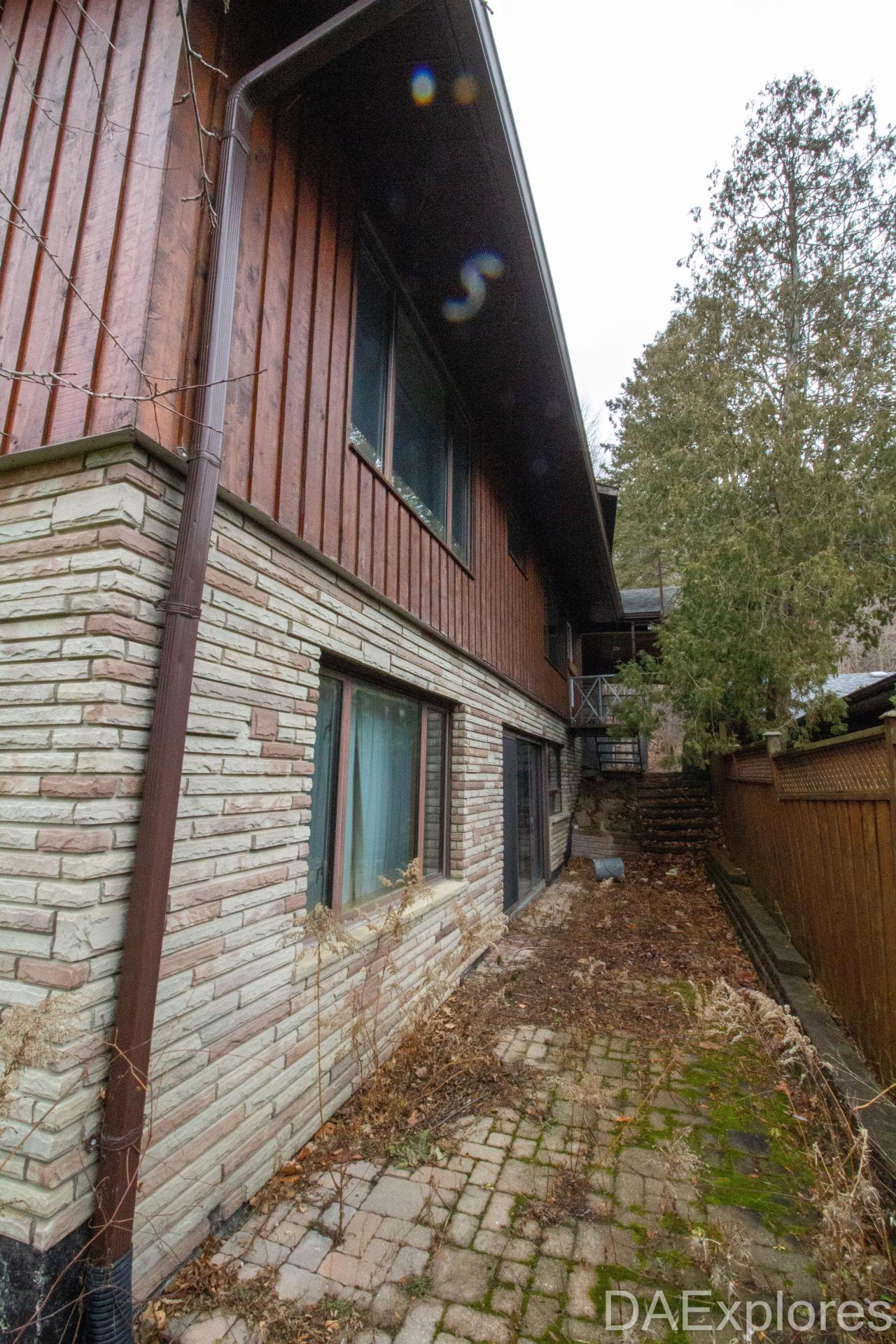 Corvette - IMG_3490.JPG