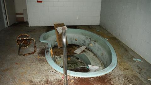 Photo from Having A Ball - September 2014