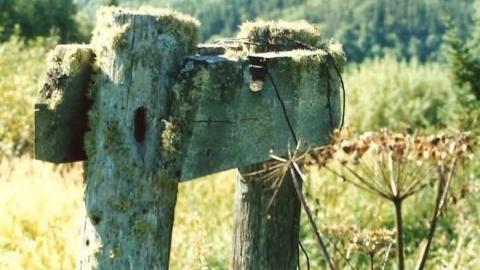 Coldwell remains - Port-Coldwell-(ghost-town)27.jpg