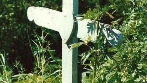 Coldwell remains - Port-Coldwell-(ghost-town)31.jpg