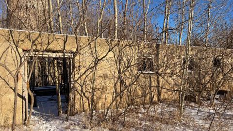 Sticks & Stones - 01/23 - IMG_0393.jpg