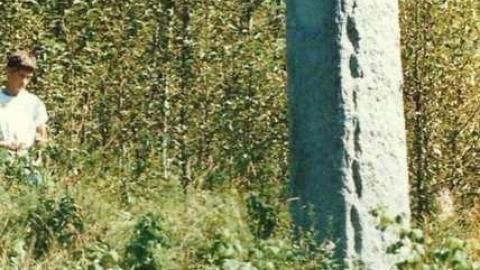 Coldwell remains - Port-Coldwell-(ghost-town)29.jpg