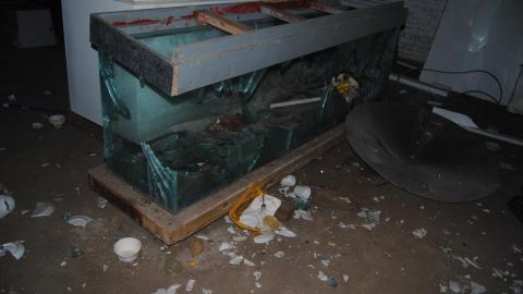 2 Scoops - April / November 2013 - DSC_0124.JPG