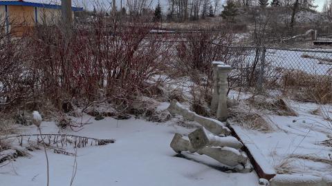 No Karts = Broke Hearts - 01/23 - IMG_0500.jpg