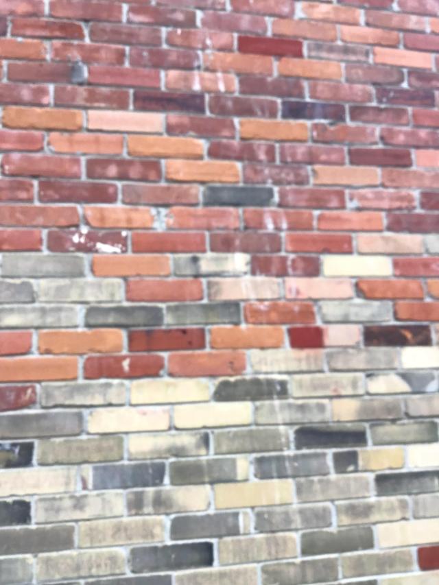 2 abandoned homes right beside each other photo 4