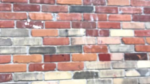 2 abandoned homes right beside each other photo 5