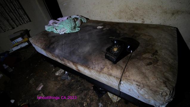 Are You Alive Sir?? photo 2