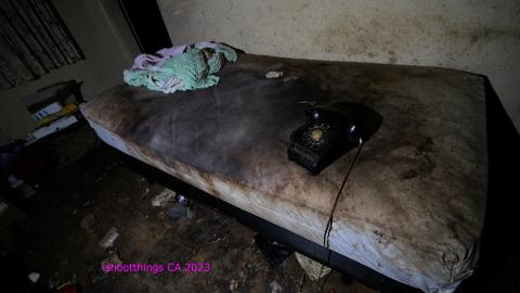 Are You Alive Sir?? photo 2