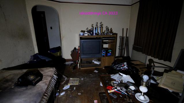 Are You Alive Sir?? photo 5