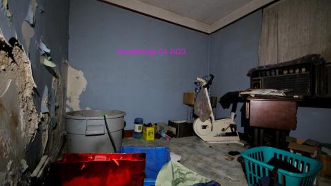 Filth Encrusted With Filth - IMG_4148.JPG