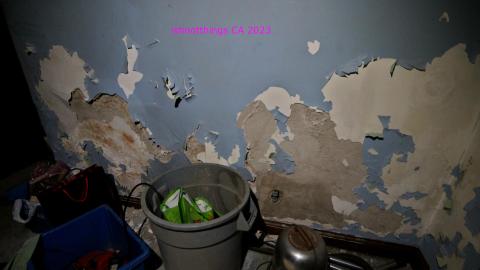 Filth Encrusted With Filth - IMG_4149.JPG