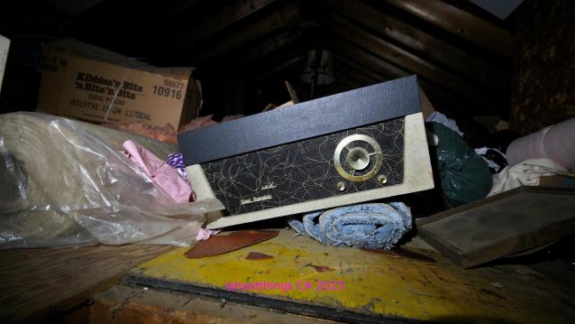 Are You Alive Sir?? - Kitchener, Ontario