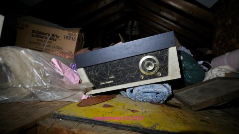 Are You Alive Sir?? - Kitchener, Ontario