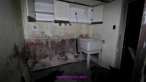 The Legacy Of Decay - DEC 2022 - IMG_2465.JPG