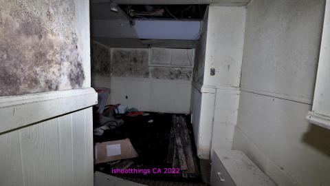 The Legacy Of Decay - DEC 2022 - IMG_2466.JPG