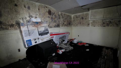 The Legacy Of Decay - DEC 2022 - IMG_2468.JPG