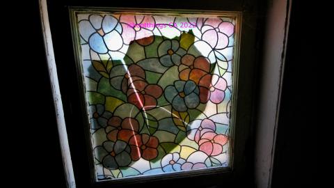 The Legacy Of Decay - DEC 2022 - IMG_2508.JPG