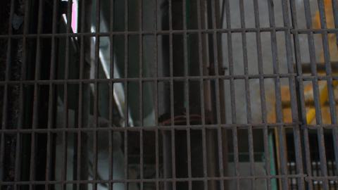 1000 Ways To Die: Update Well Overdue - photo - 2023-01-27T200430.028.jpg