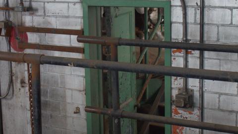 1000 Ways To Die: Update Well Overdue - photo - 2023-01-27T203001.331.jpg