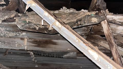 Photo from Damp on Dobie, not much to see