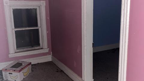 Damp on Dobie, not much to see - BDC81BEF-4CC7-4B37-82BC-D915B6E9F8D9.jpeg