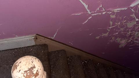 Photo from Damp on Dobie, not much to see