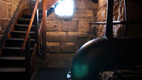 "Walking" Adjacent "Beams" - JAN 2023 - IMG_3885.JPG