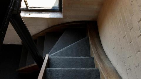 "Walking" Adjacent "Beams" - JAN 2023 - IMG_3907.JPG