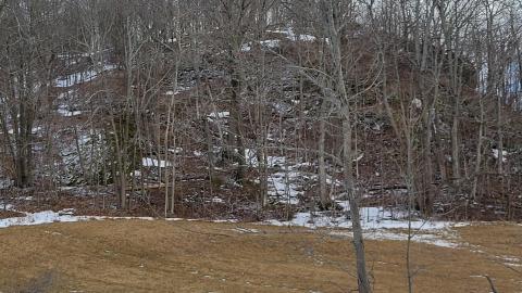 Opinicon Cemetery - 20220308_151101.jpg