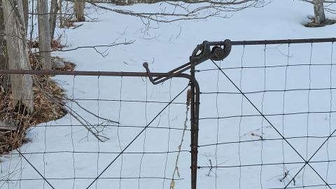 Opinicon Cemetery - 20220308_151043.jpg