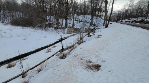 Opinicon Cemetery photo 5