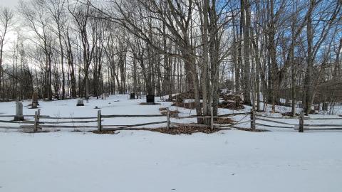 Opinicon Cemetery - 20220308_150717.jpg