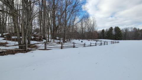 Opinicon Cemetery - 20220308_150711.jpg