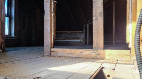 March 2021 - 20210304_140458.JPG