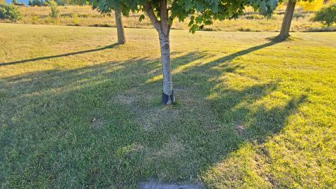 Photo from October 2022