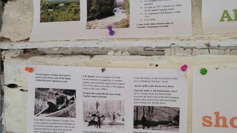 Basin Depot Cabin photo 3