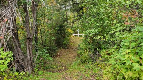 Basin Depot Cabin - 20220921_125946.jpg