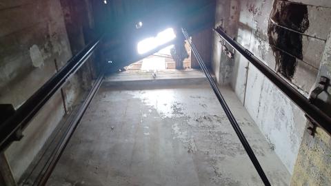 Linseed photos - 20220612_145338.jpg