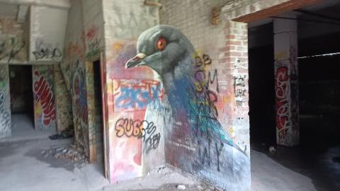 Linseed photos - 20220612_151303.jpg